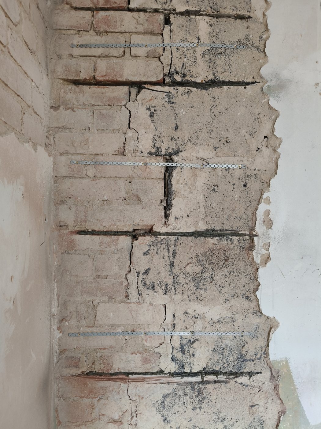 Current Project photo